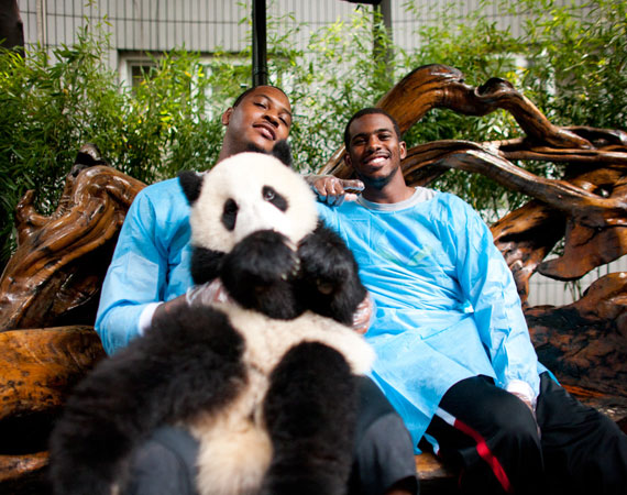 The Assist: Carmelo Anthony, Chris Paul & Kevin Durant Get Friendly With A Panda In China [Photos]