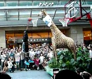 Dwight Howard Dunks On A Giraffe [Video]