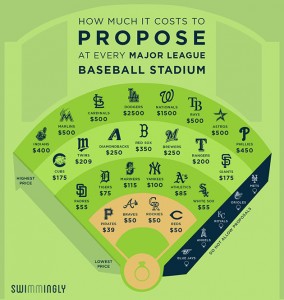 Ball-park-proposal