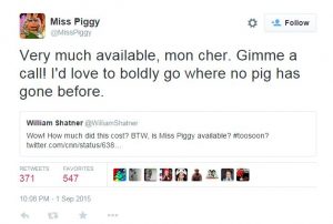Piggy-Tweets