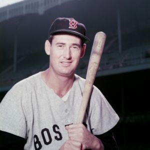 ted-williams
