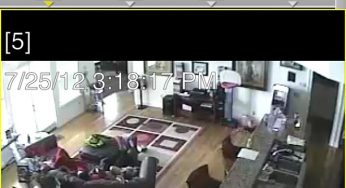 DeShawn Stevenson shows off his home video surveillance system via iPhone [photo]