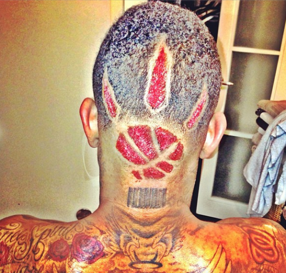 Amir-Johnson-Raptors-Logo