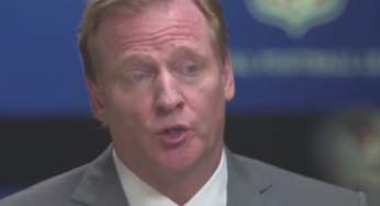 NFL Commish Roger Goodell Says The League is Providing Assistance to Ray Rice and Family [Video]