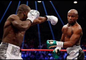 berto-mayweather